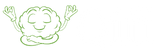 Qifi Logo