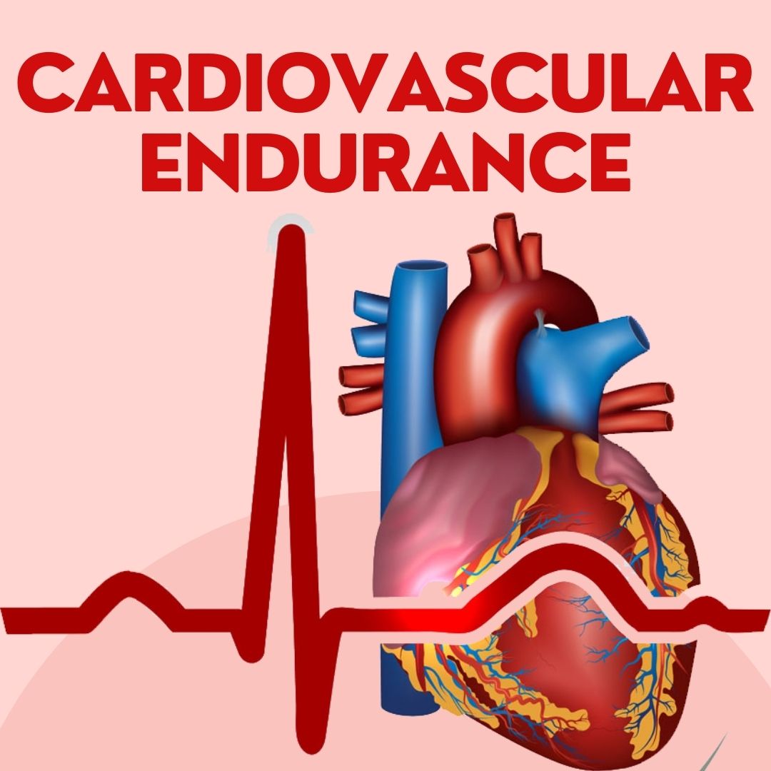 Cardiovascular Endurance
