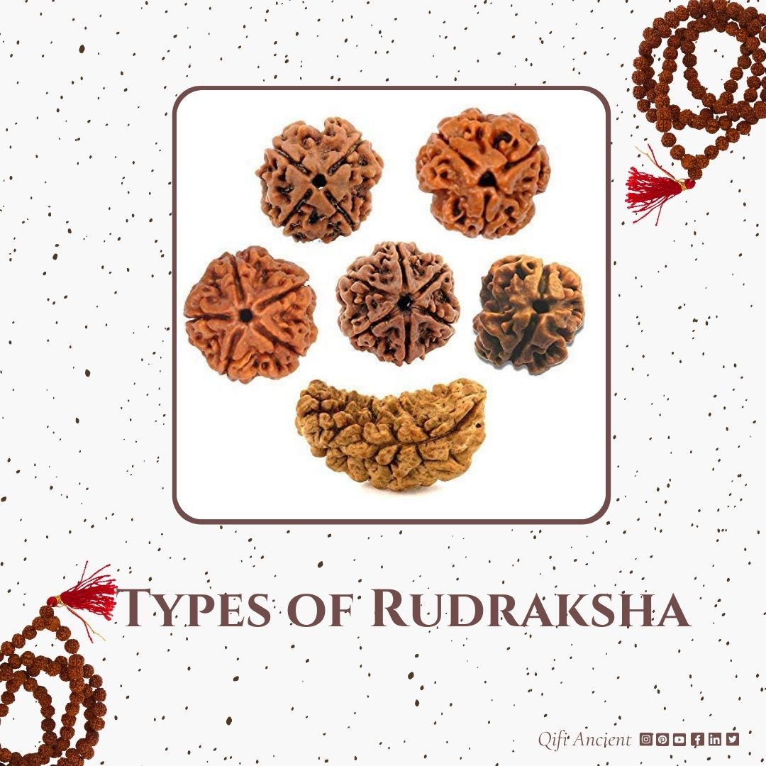 Rudraksha – Tears of Shiva