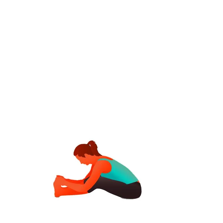 Seated Forward Bend - Paschimottanasana