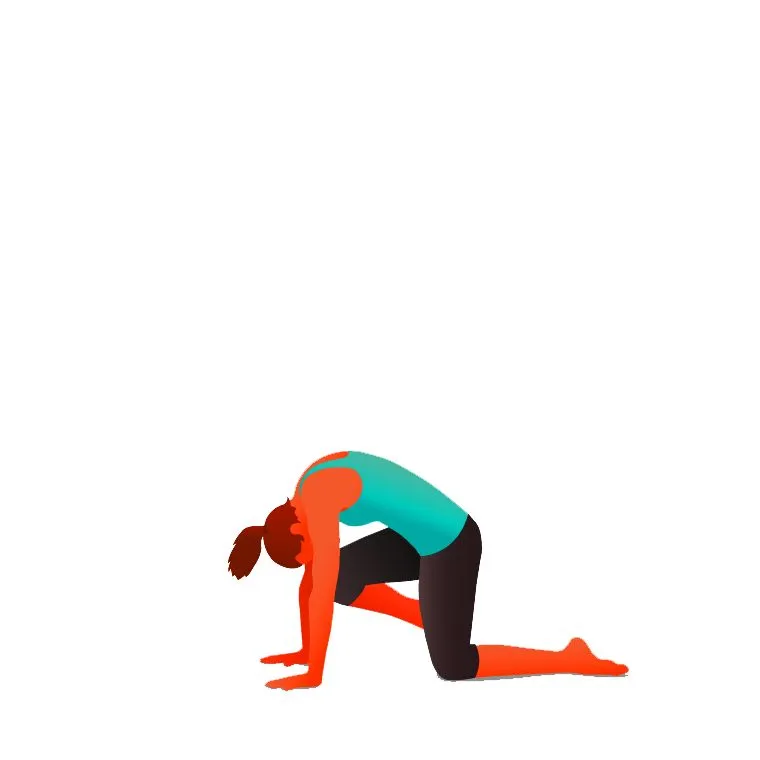 Table with Knee to Forehead - Cakravākāsana