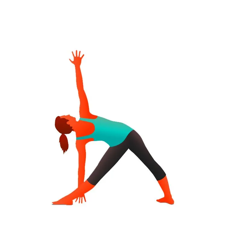Trikonasana - Extended triangle pose