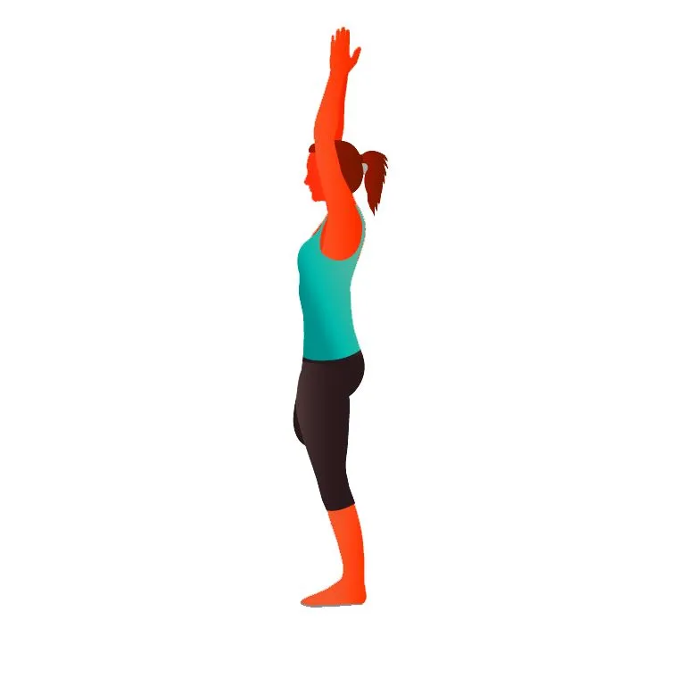 Urdhva Hastasana - Upward Salute - Upward Tree pose