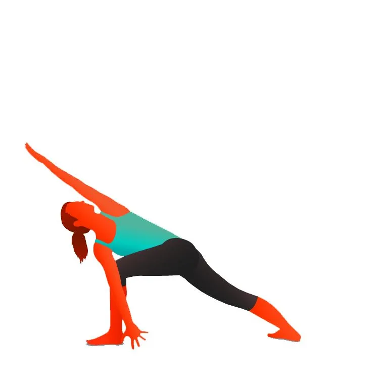Utthita Parsvokonasana - Extended Side Angle Pose