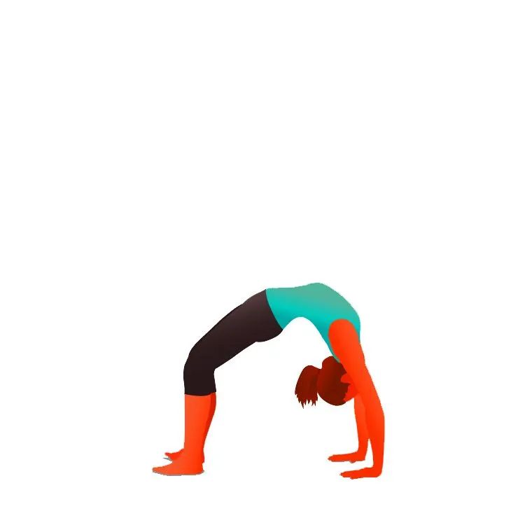 Wheel - Urdhva Dhanurasana