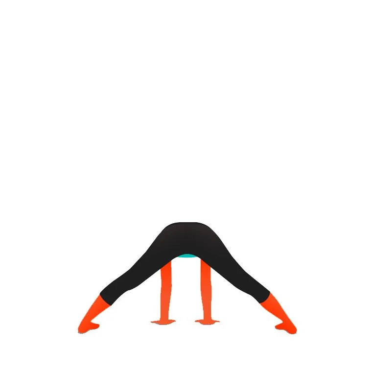 Wide Legged Forward Bend (Preparation)
