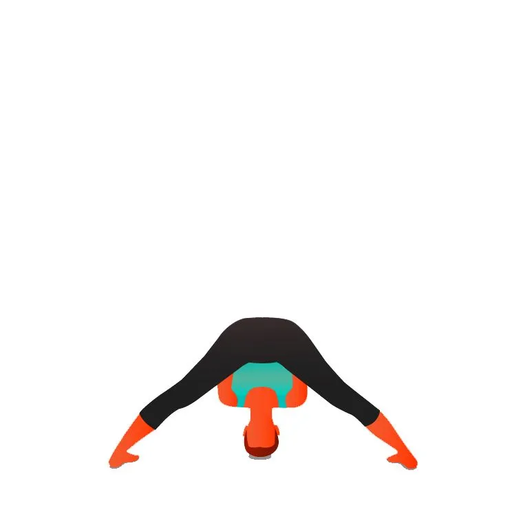 Wide Legged Forward Bend II - Prasarita Padottanasana B