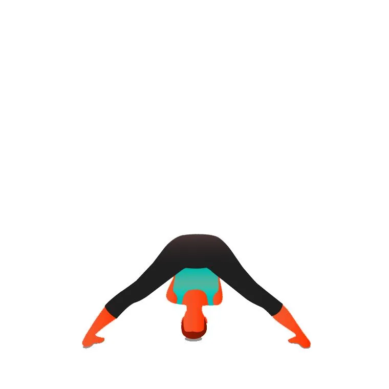 Wide Legged Forward Bend III - Prasarita Padottanasana C