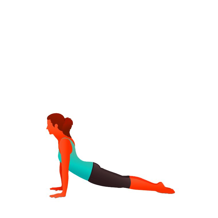 Adho Mukha Svanasana - Upward-Facing Dog