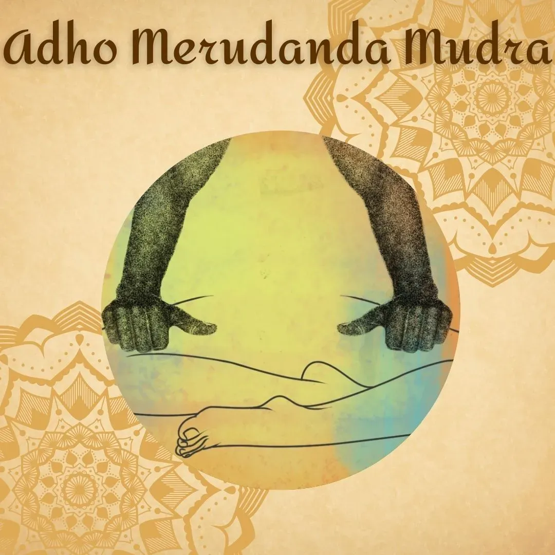 Adho Merudanda Mudra1