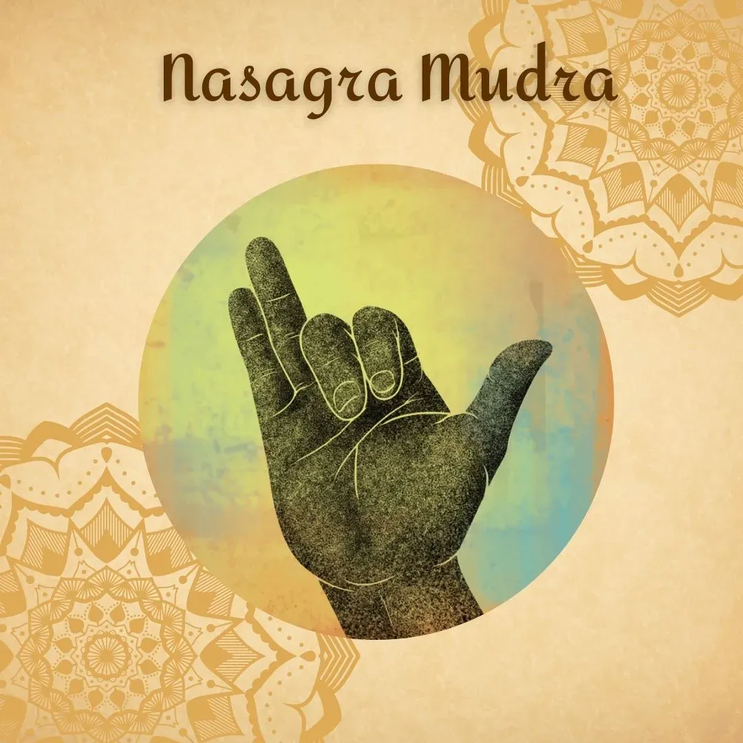 Nasagra Mudra