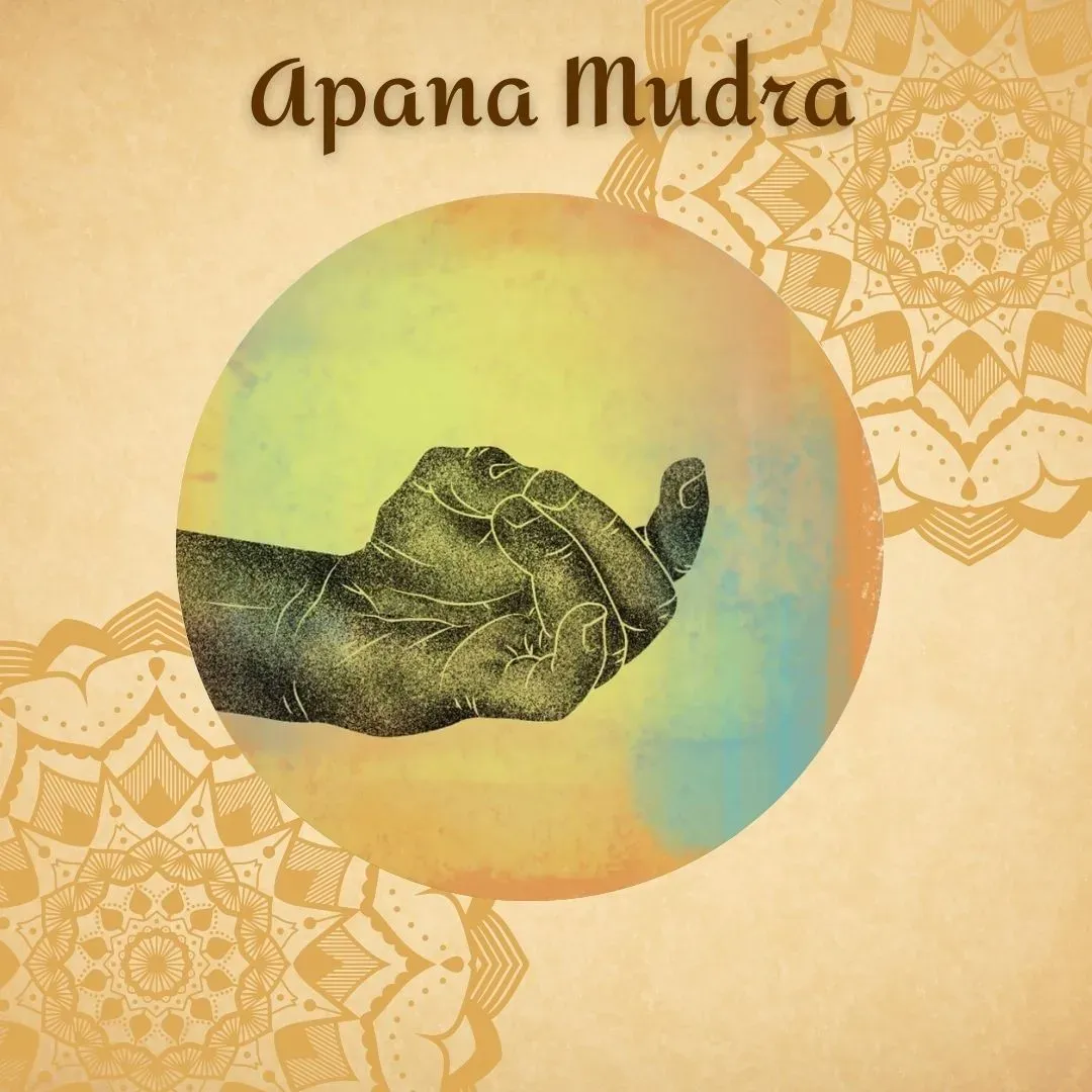 Apana Mudra