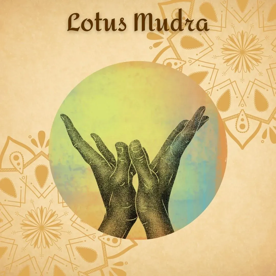Lotus Mudra