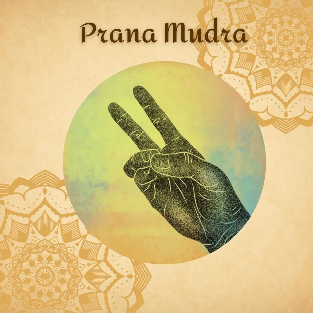 Prana Mudra
