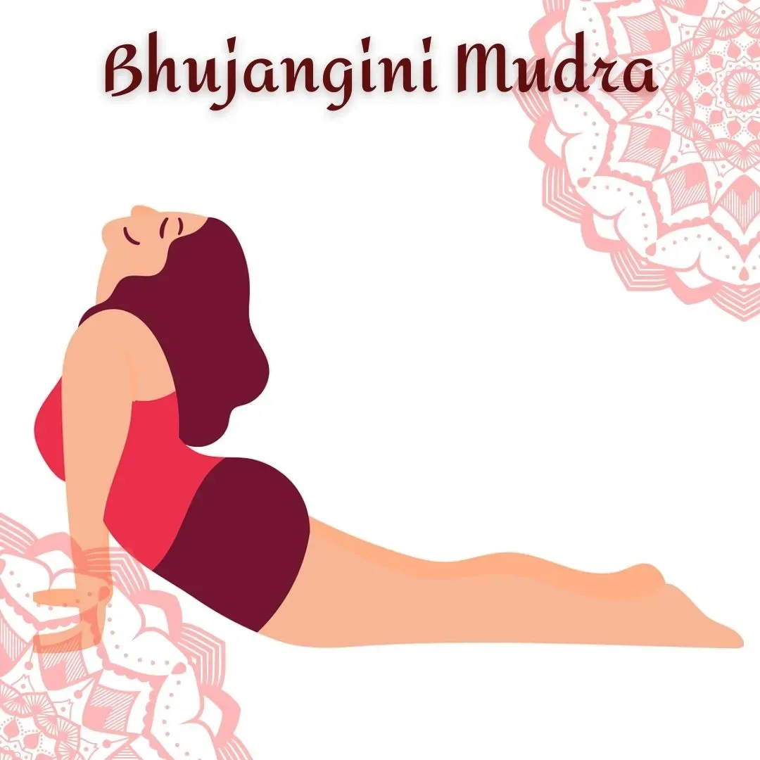 Bhujangini Mudra