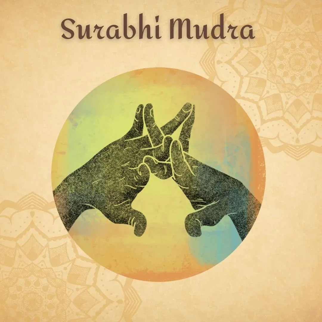Surabhi Mudra
