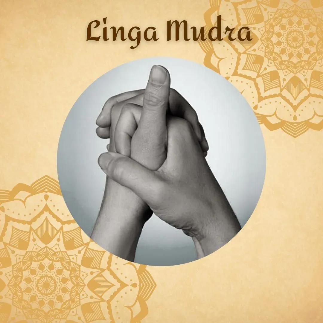 Linga Mudra