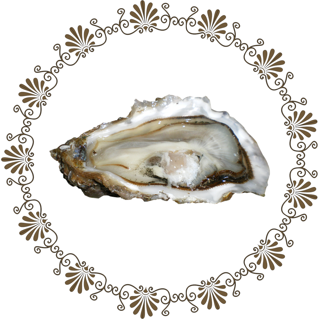 Oyster
