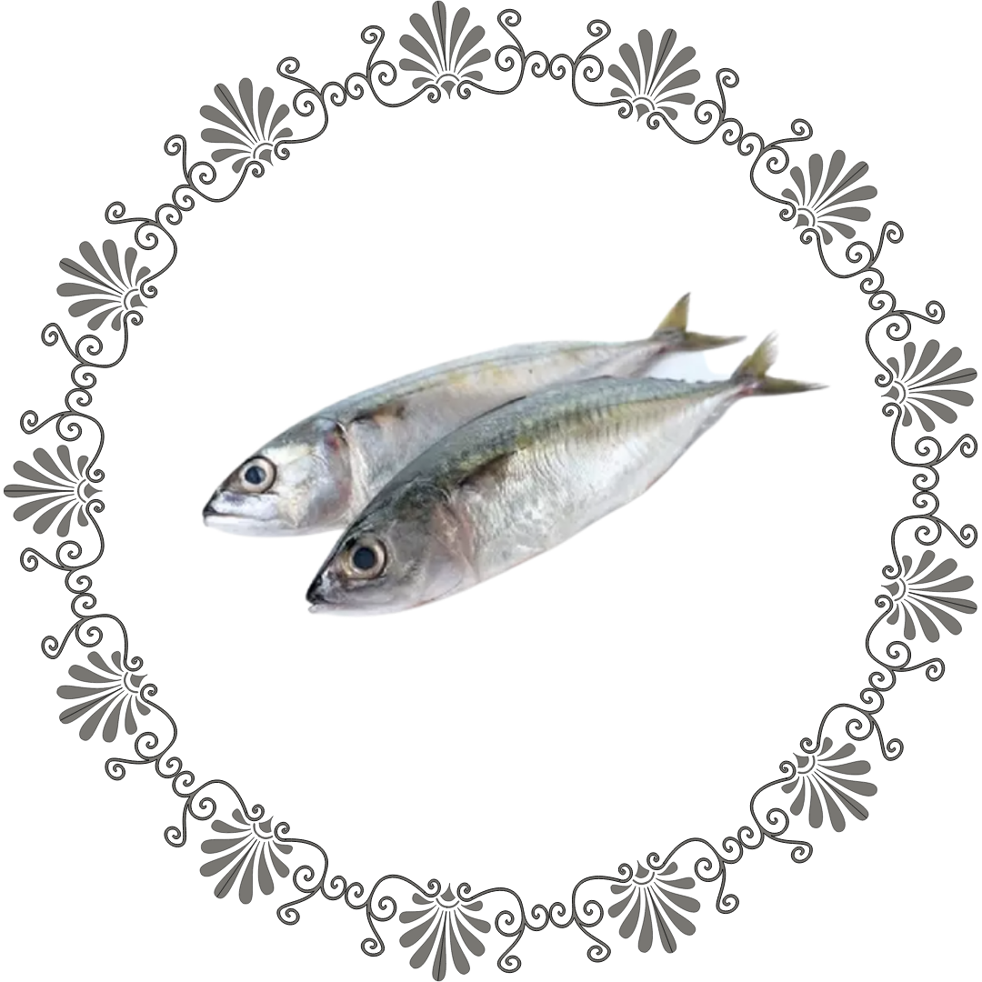 Mackerel