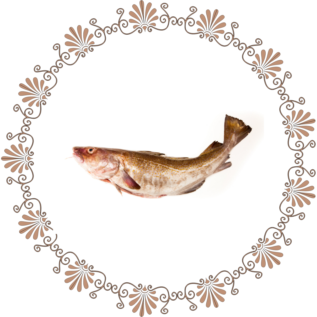 cod fish