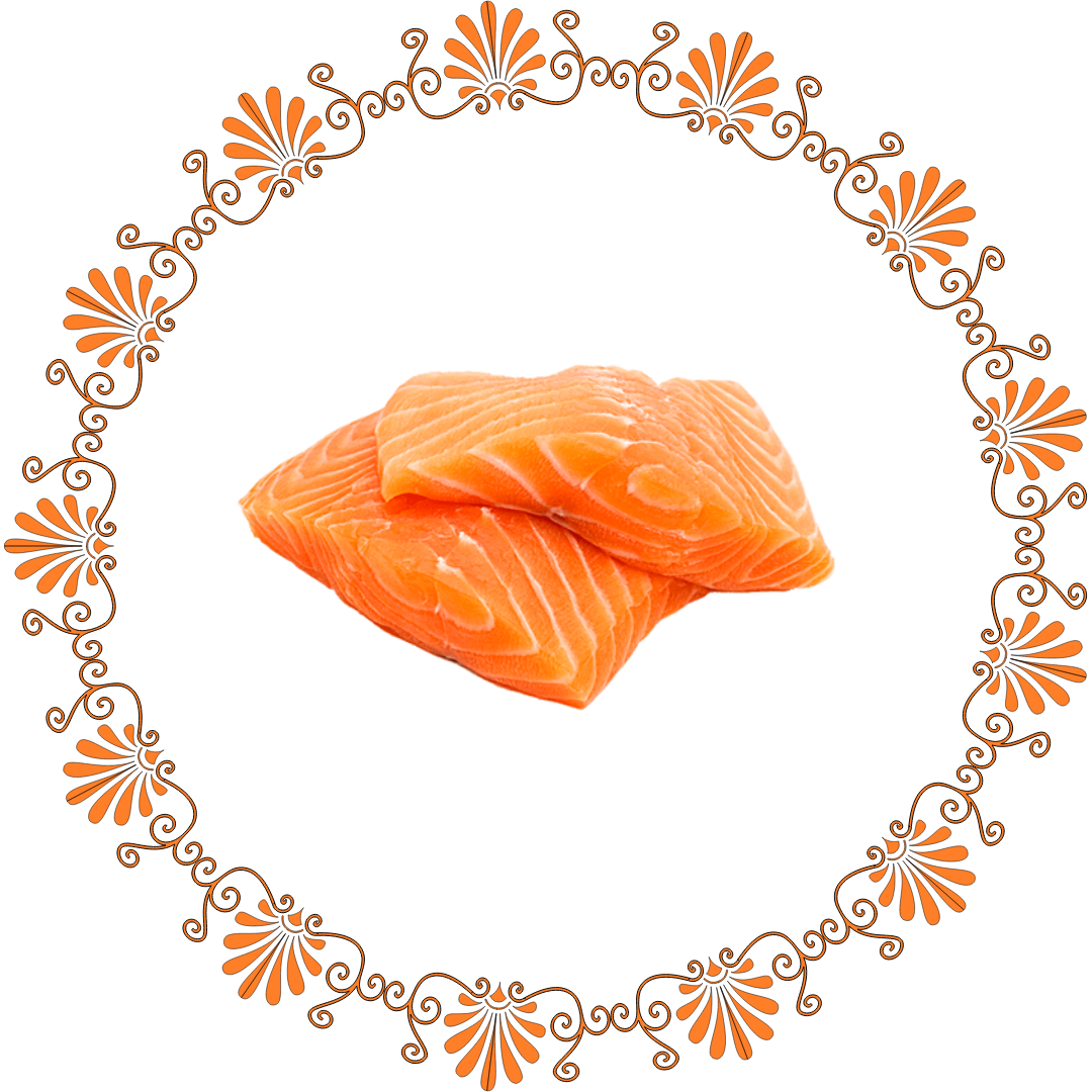 Salmon