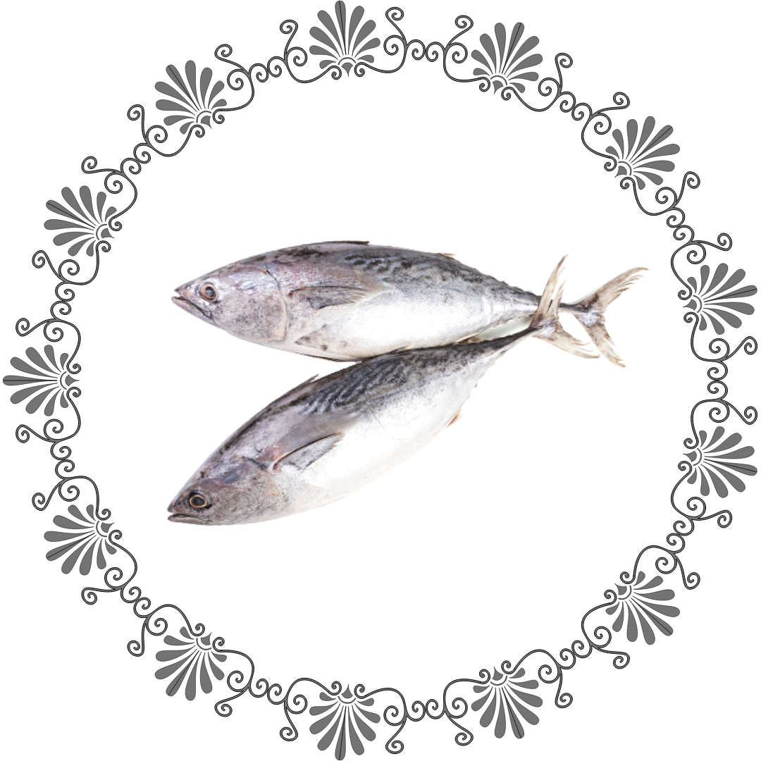 Tuna
