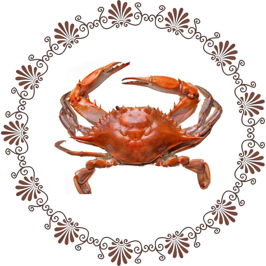 Crab