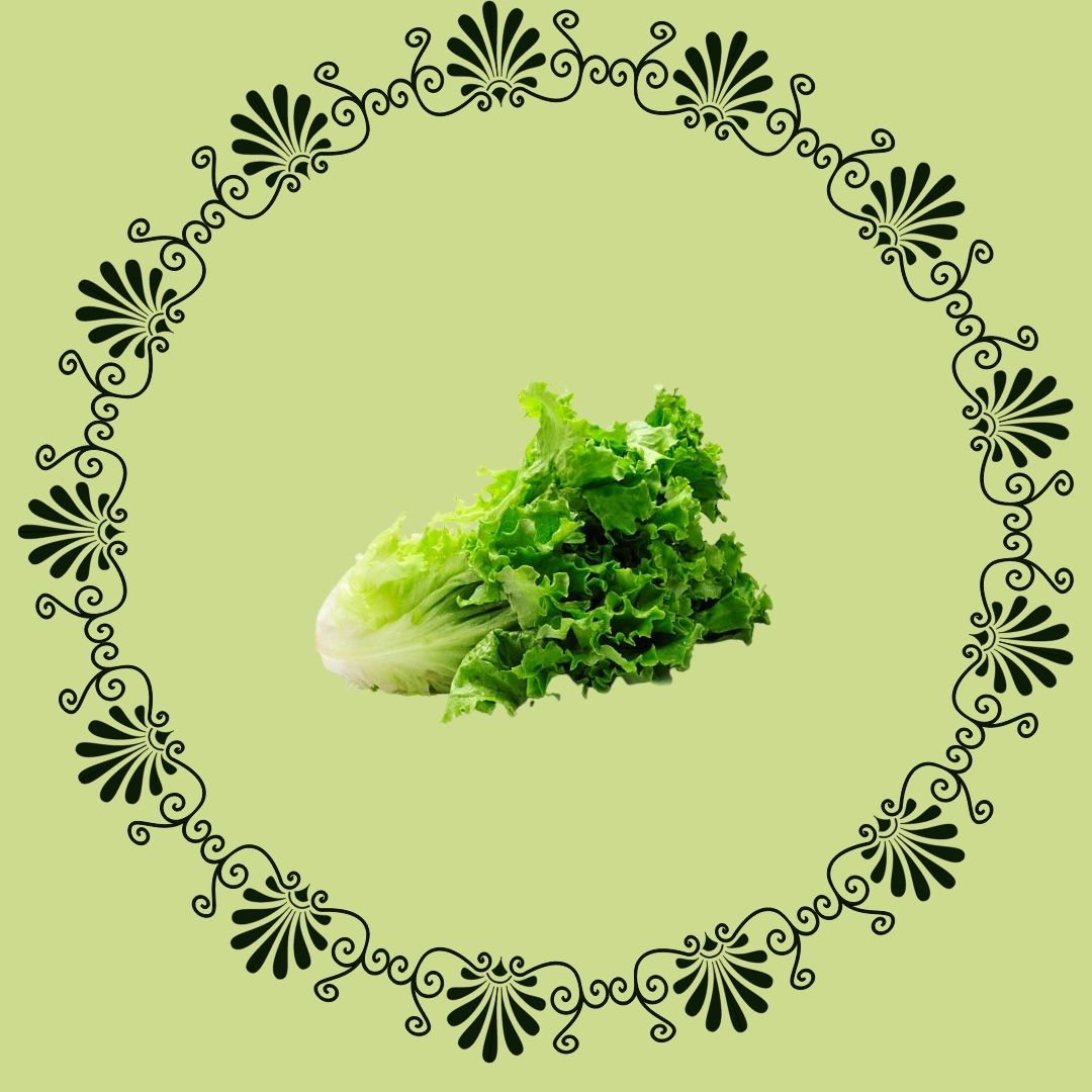 Leaf Lettuce