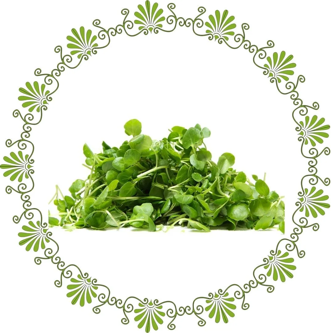 Watercress1