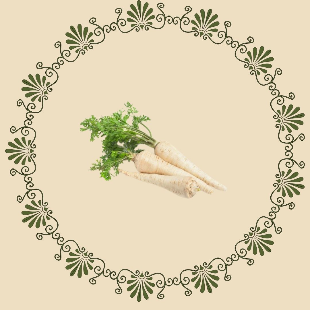 Parsnip