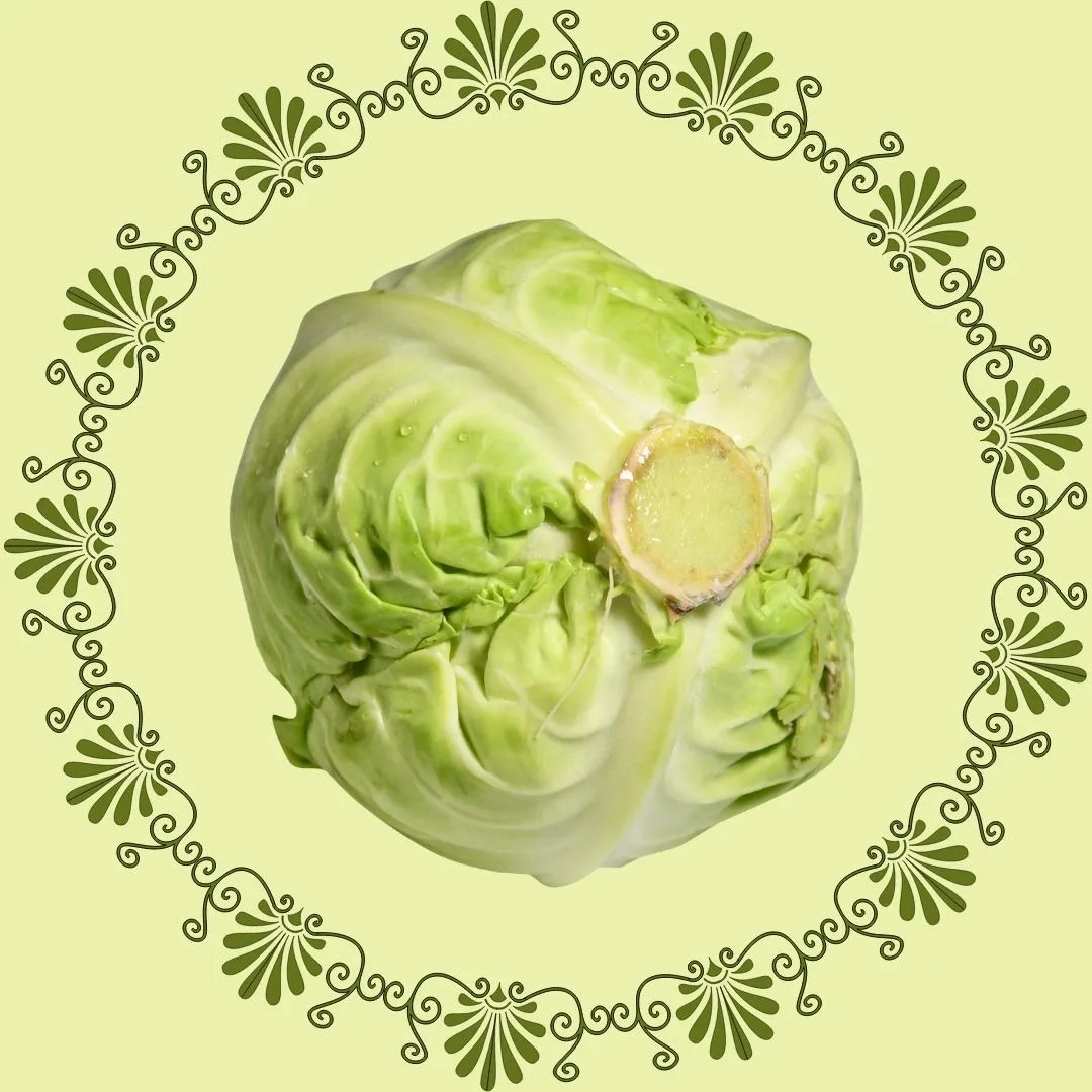 Brussels Sprout1