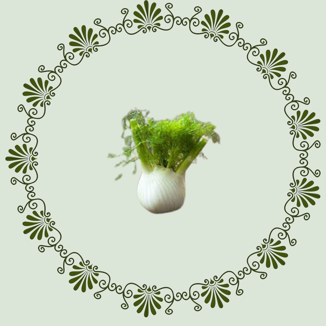 Fennel
