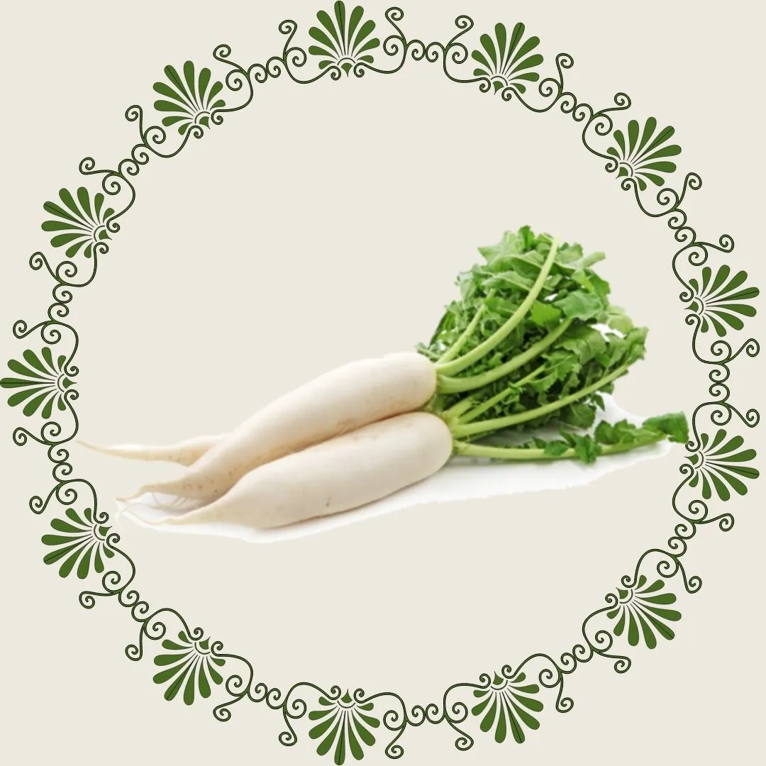 Radish1