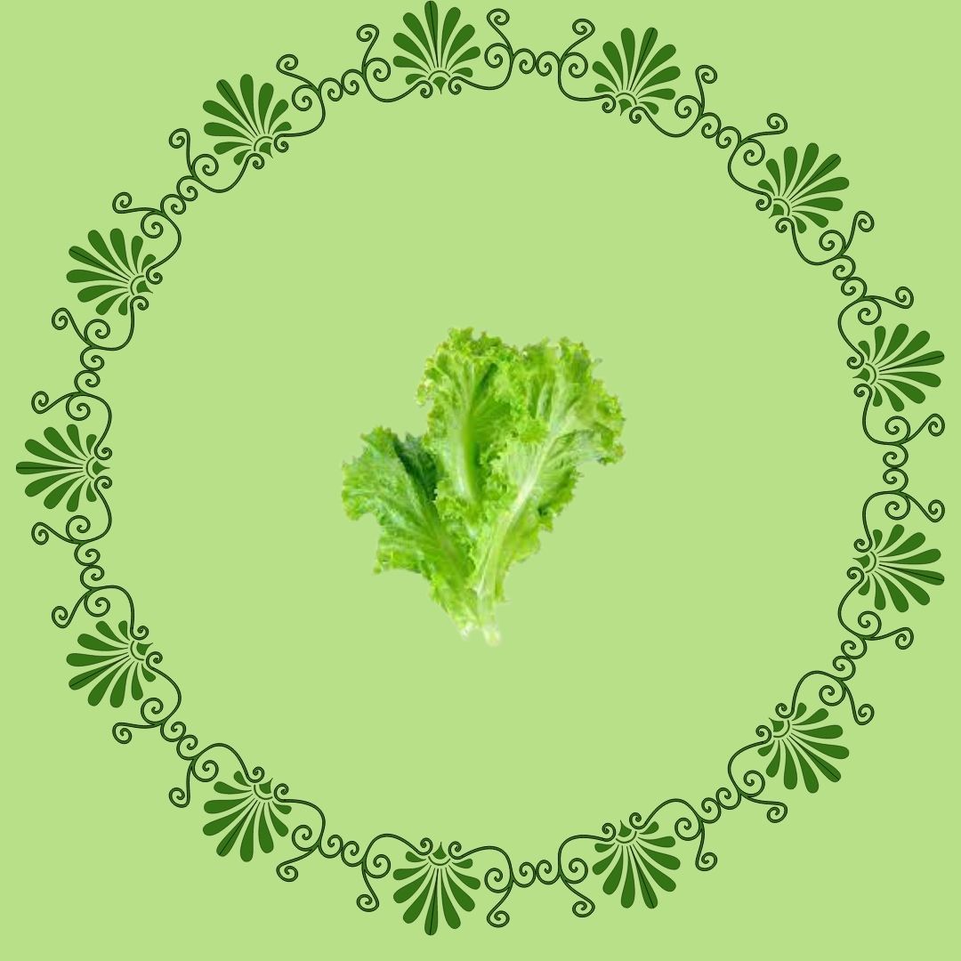 Lettuce1