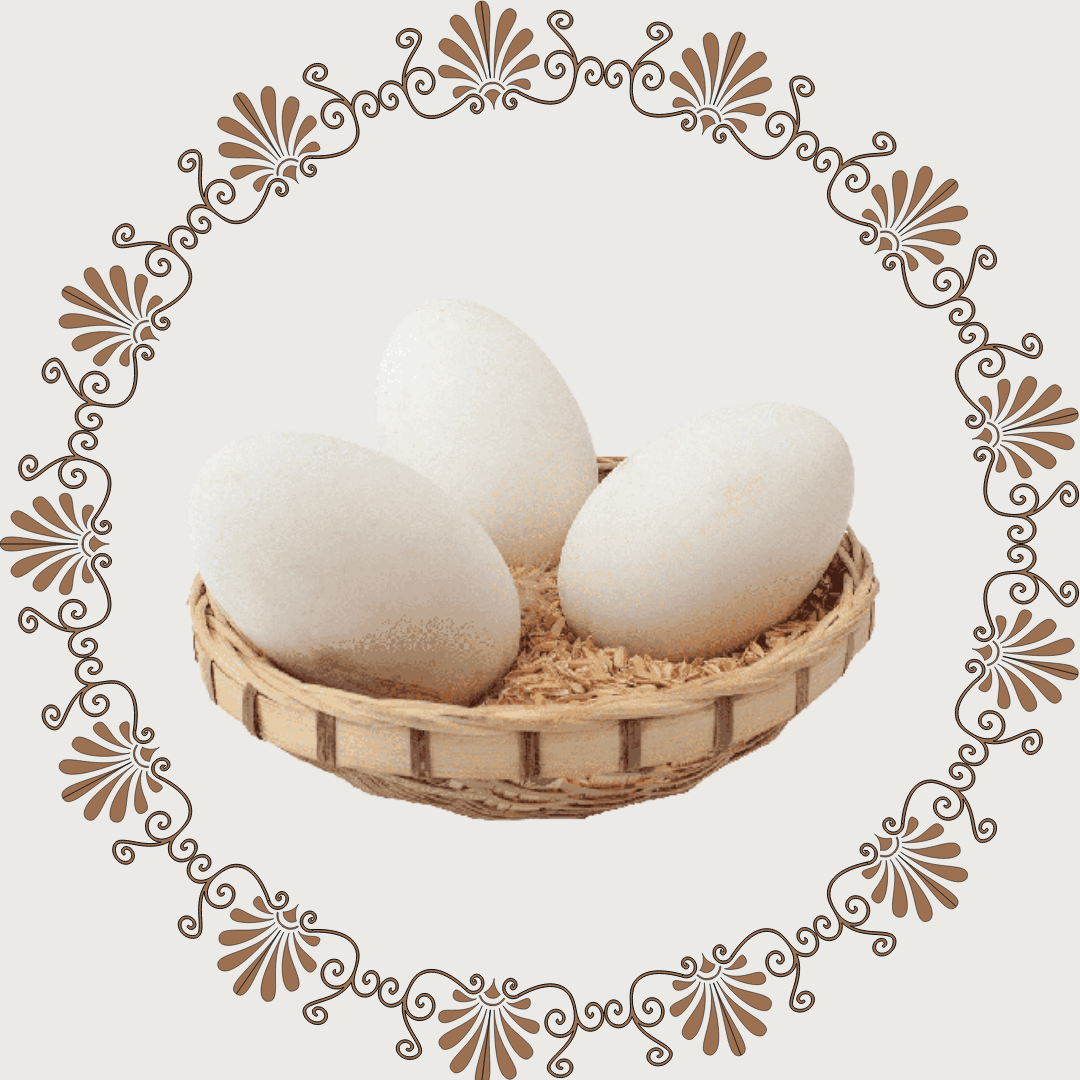 Goose egg