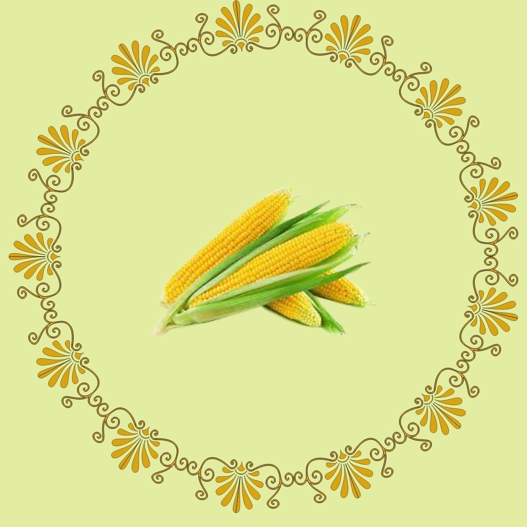 Sweet Corn