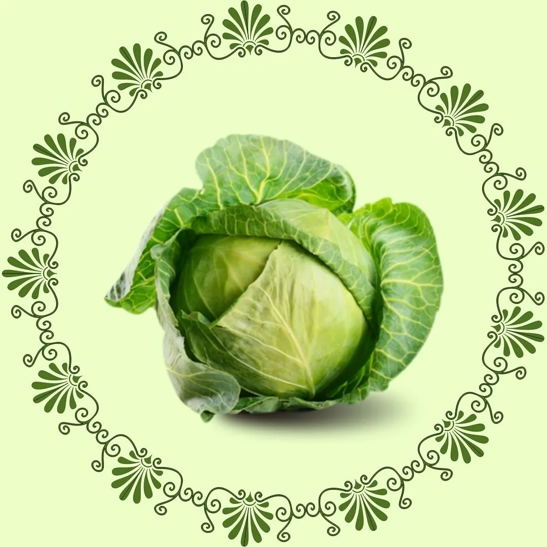 Cabbage1