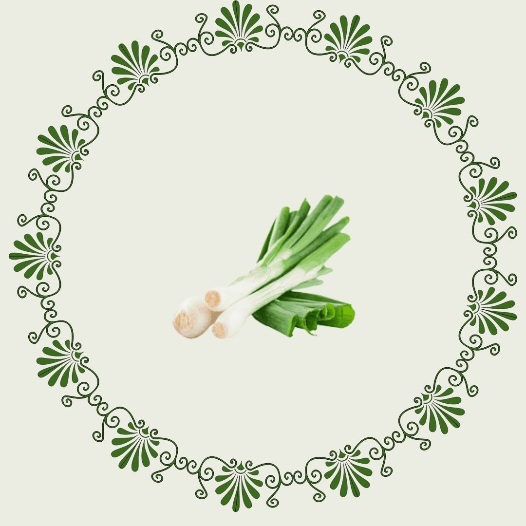 Scallion