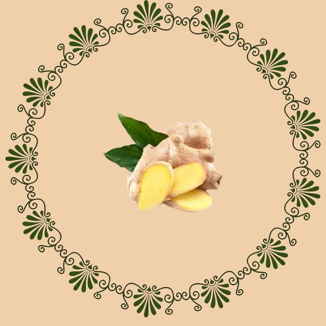 GINGER ROOT