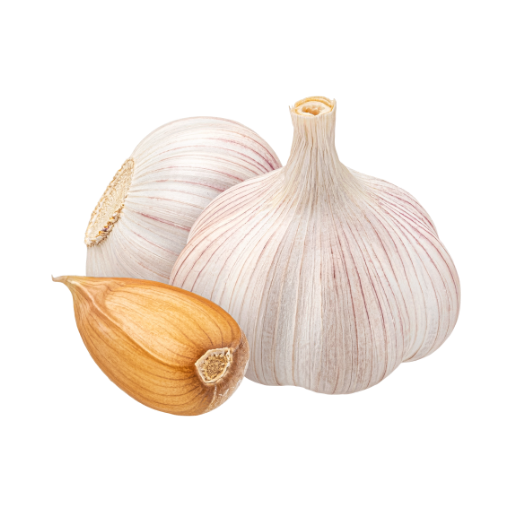 Garlic1