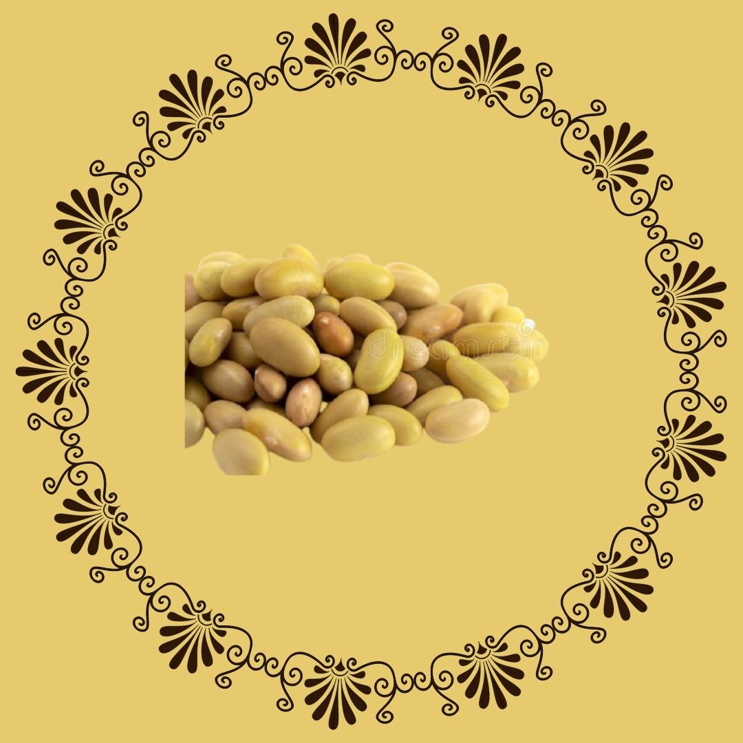 mayocoba beans