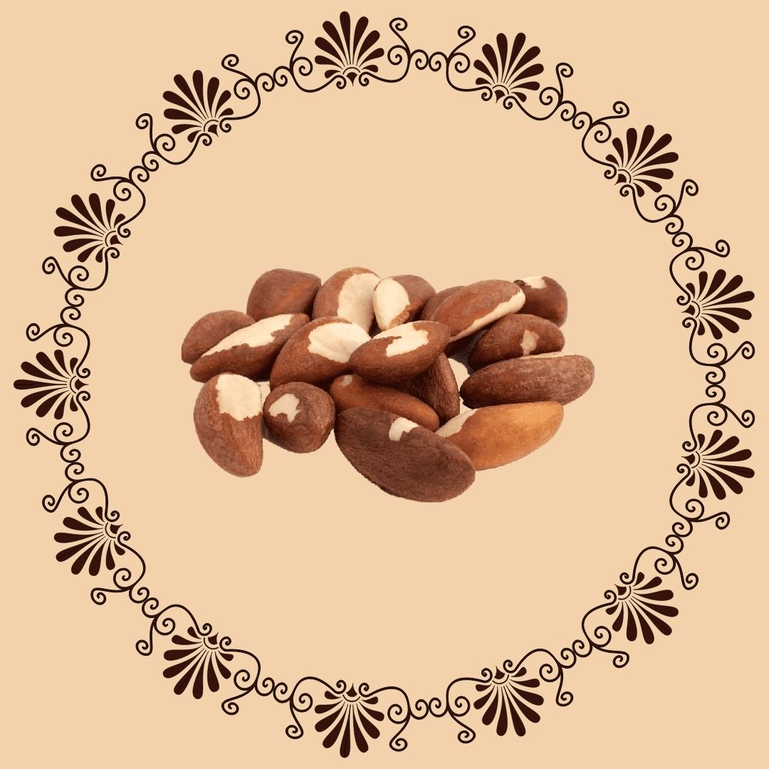 Brazil Nut