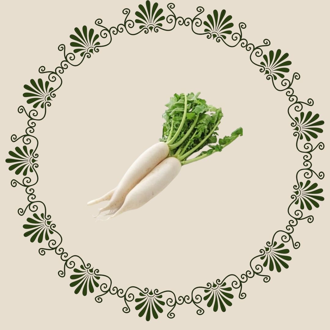 Radish