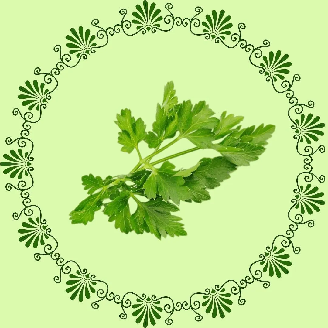 Parsley