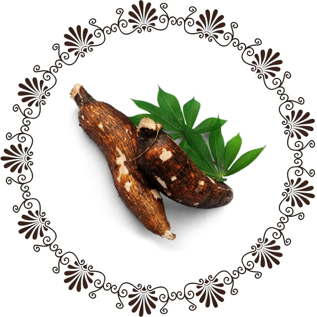 Cassava