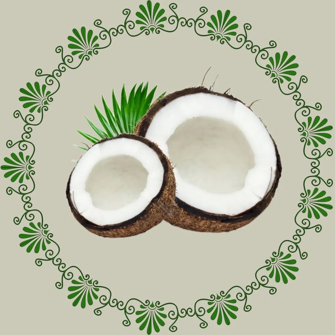 Coconut