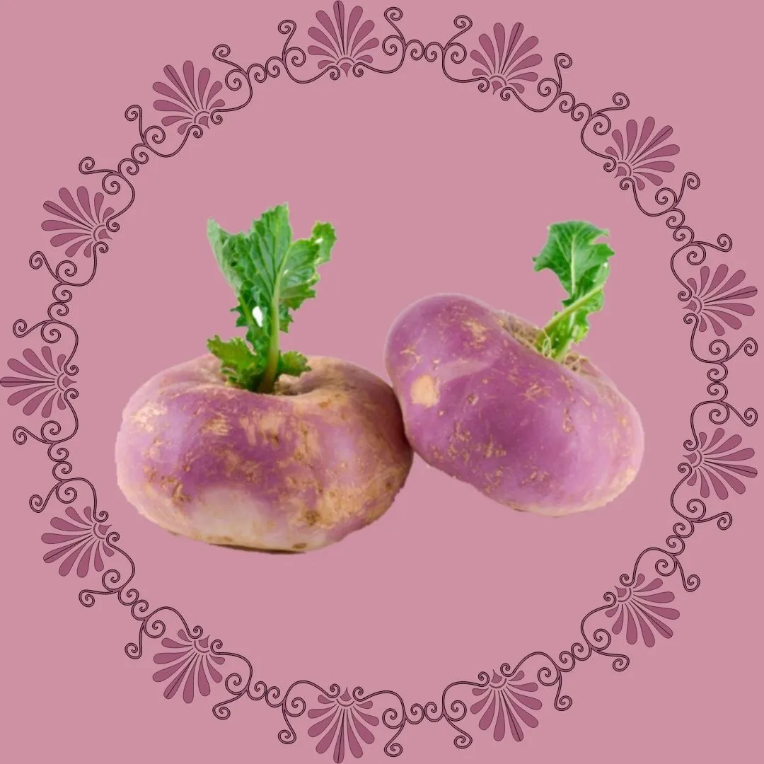 Turnip
