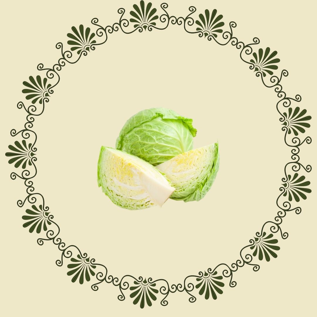 Cabbage