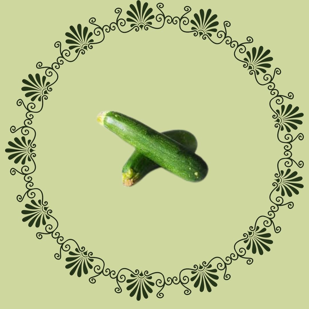 Zucchini