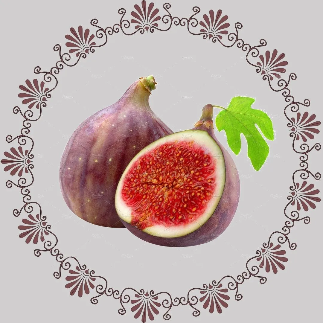 Fig